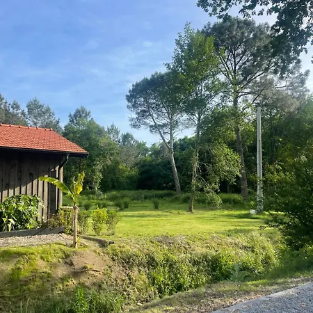 La Des Chenes Villa Audenge