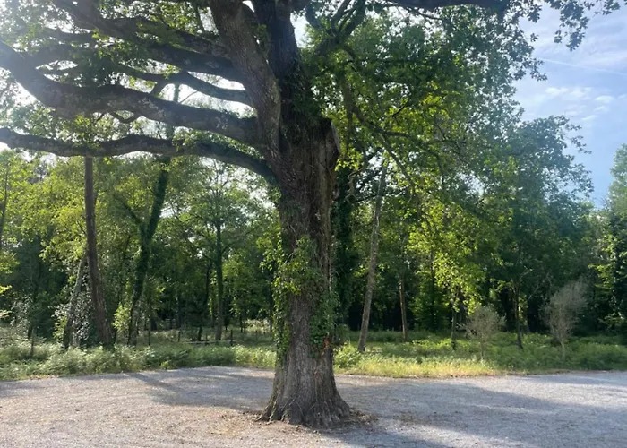 La Des Chenes * Audenge