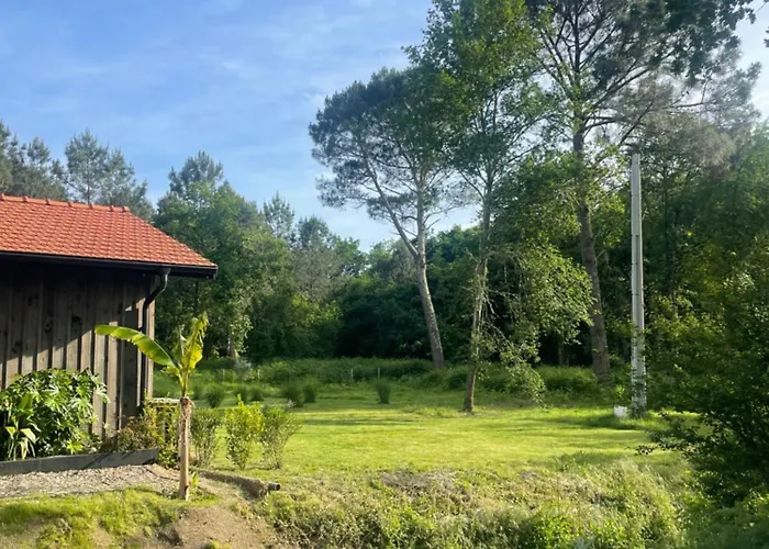 La Des Chenes Villa Audenge